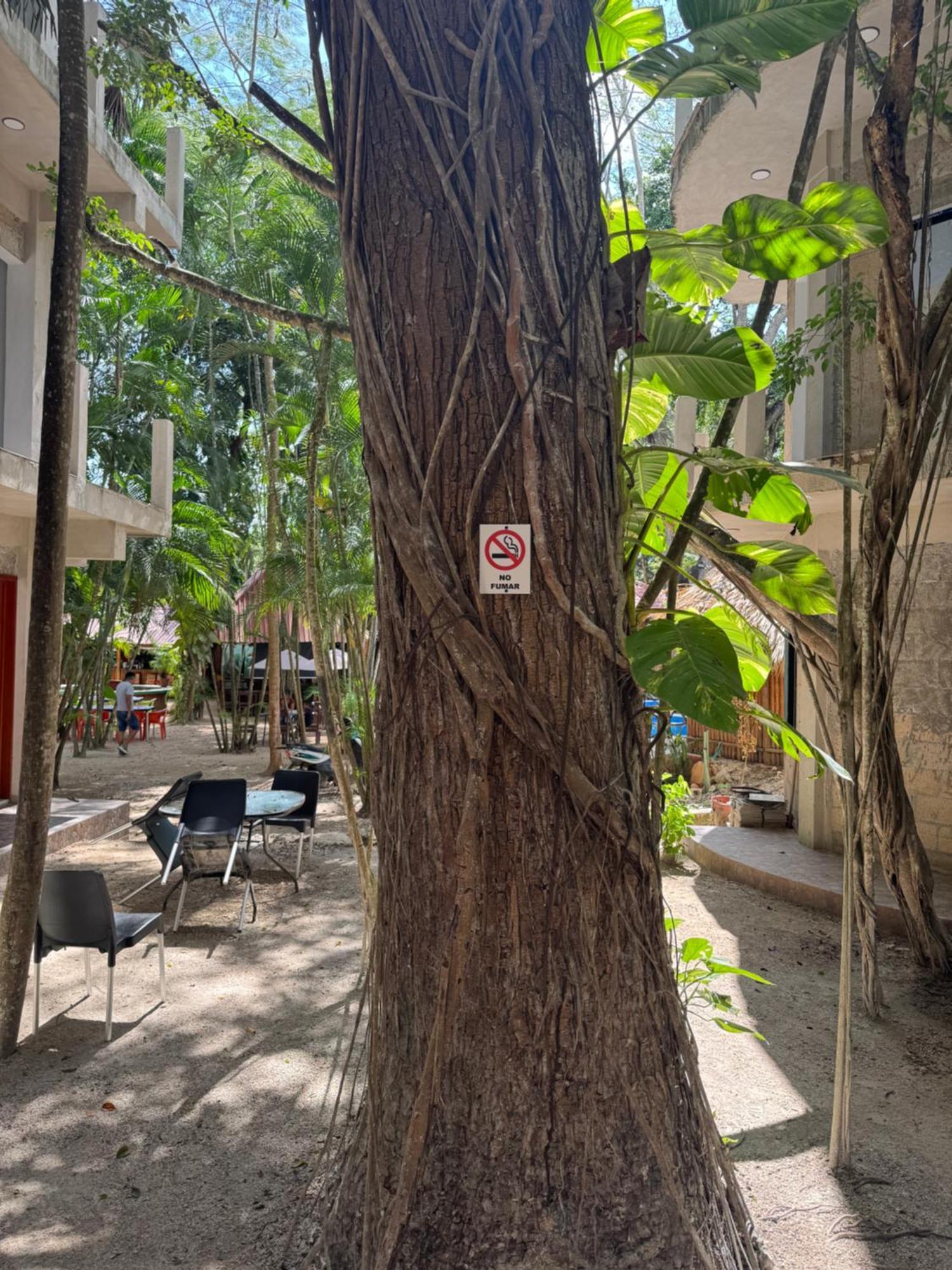 Hotel Bambus Felipe Carrillo Puerto Εξωτερικό φωτογραφία